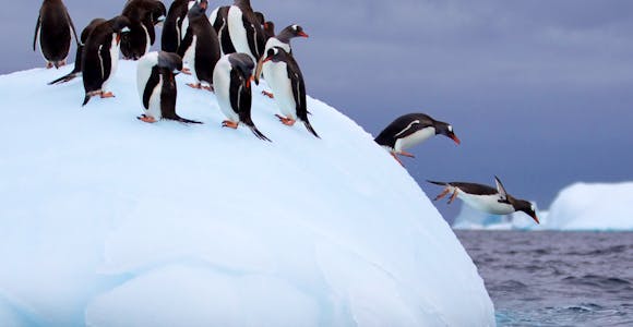 Antarctica